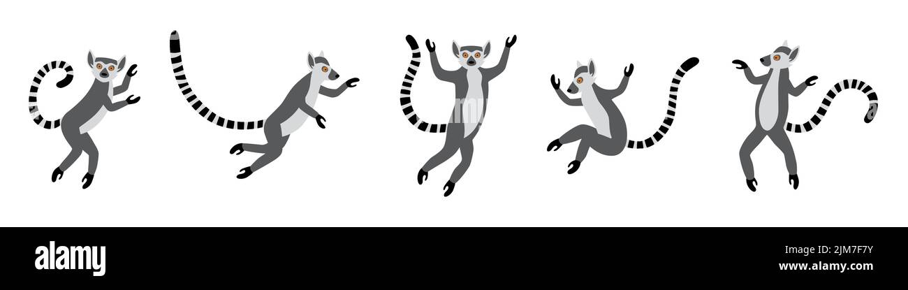 Cute funny ring-tailed lemurs jumps. Exotic Lemur catta. Set of vector illustrations in cartoon and flat style Stock Vector