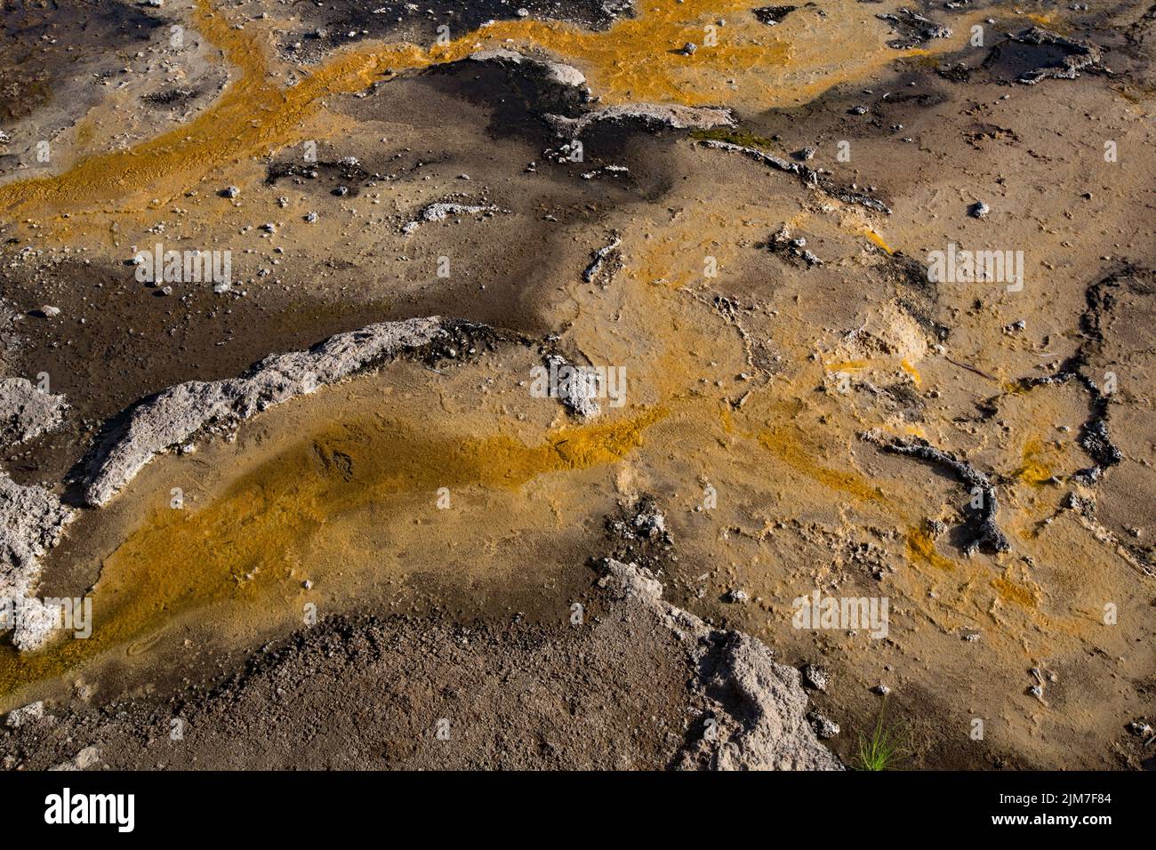 Talaroo Hot Springs produce water at around 60°C seeping into pools before discharging to the Einasleigh River system in tropical Queensland. Stock Photo