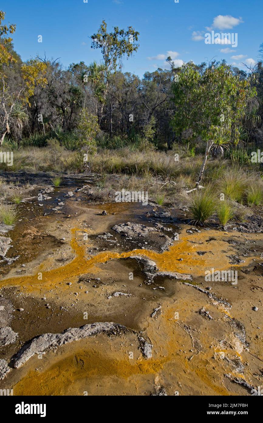 Talaroo Hot Springs produce water at around 60°C seeping into pools before discharging to the Einasleigh River system in tropical Queensland. Stock Photo