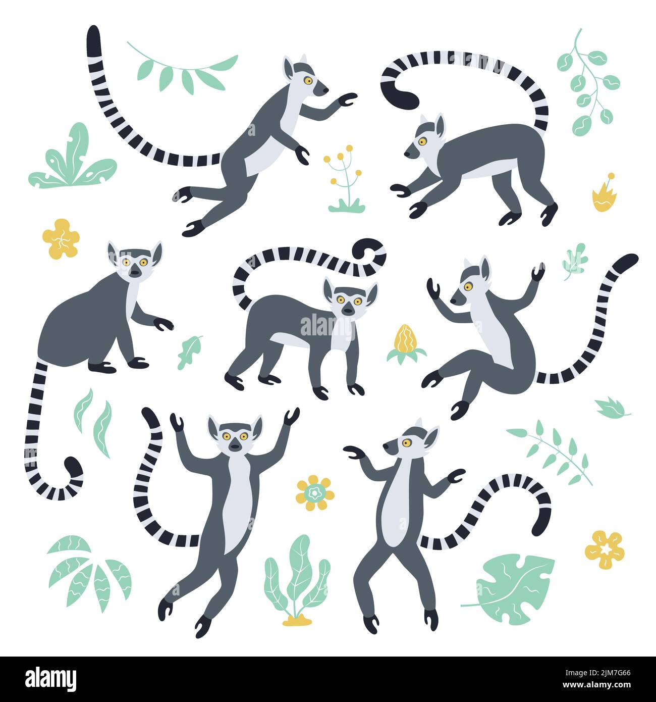Cute funny ring-tailed lemurs and tropical plants. Exotic Lemur catta. Set of vector illustrations in cartoon and flat style Stock Vector
