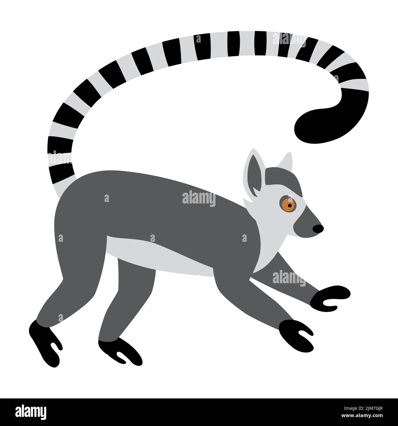 Cute funny ring-tailed lemur. Exotic Lemur catta. Vector illustration in flat and cartoon style Stock Vector
