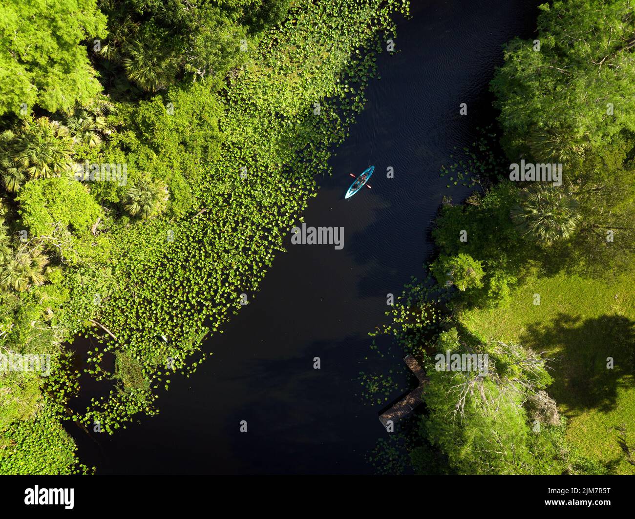 Man kayaking in Wekiva river near Wekiva Island. Wekiva island is