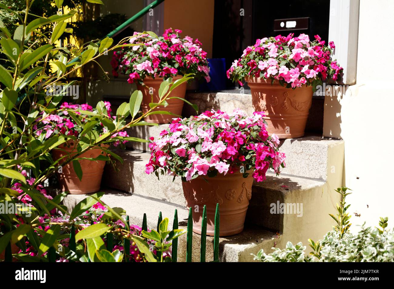 Stairs with flower pots, Bremen, Germany Stock Photo