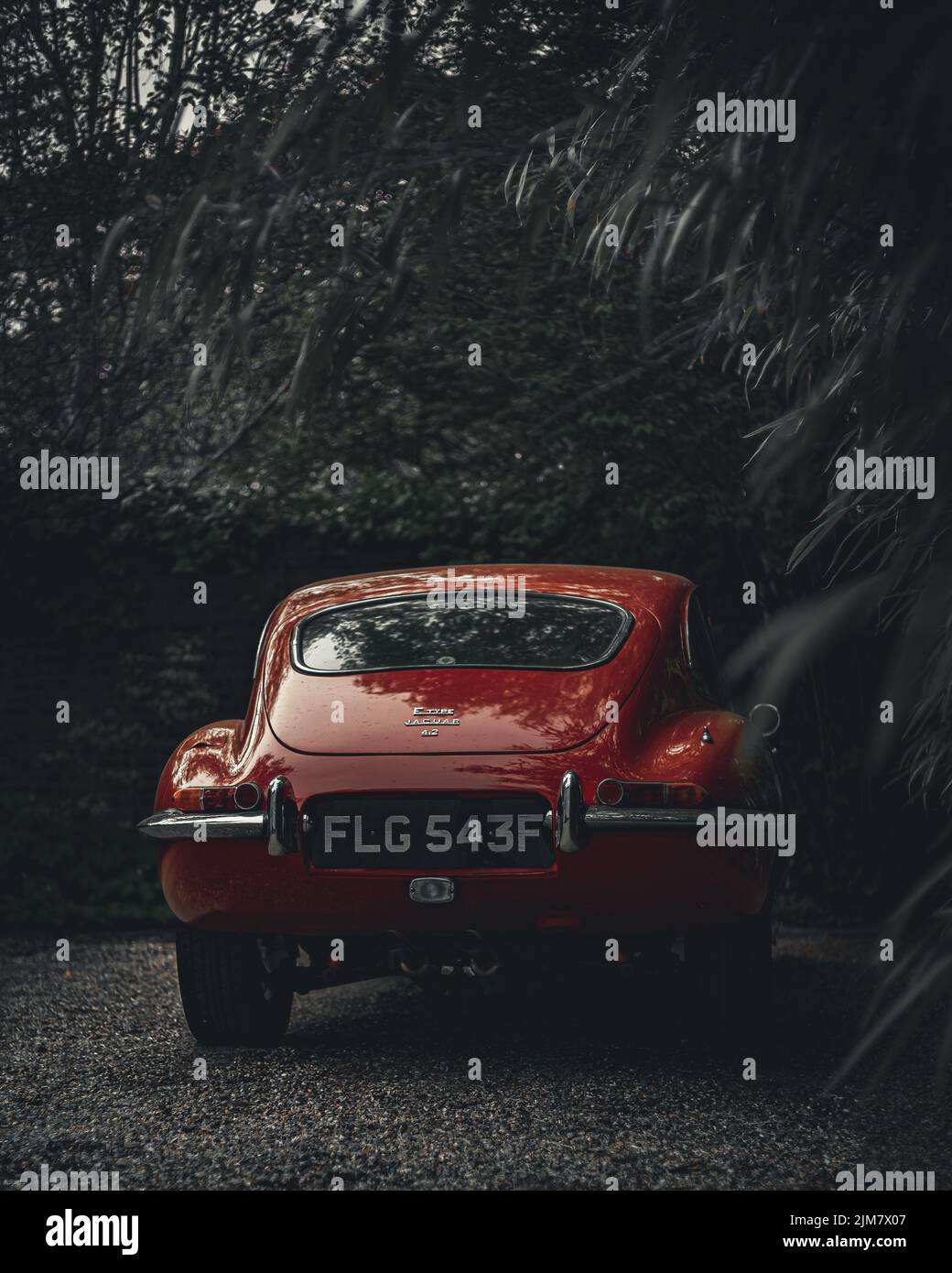 A close-up shot of a red vintage car in nature Stock Photo