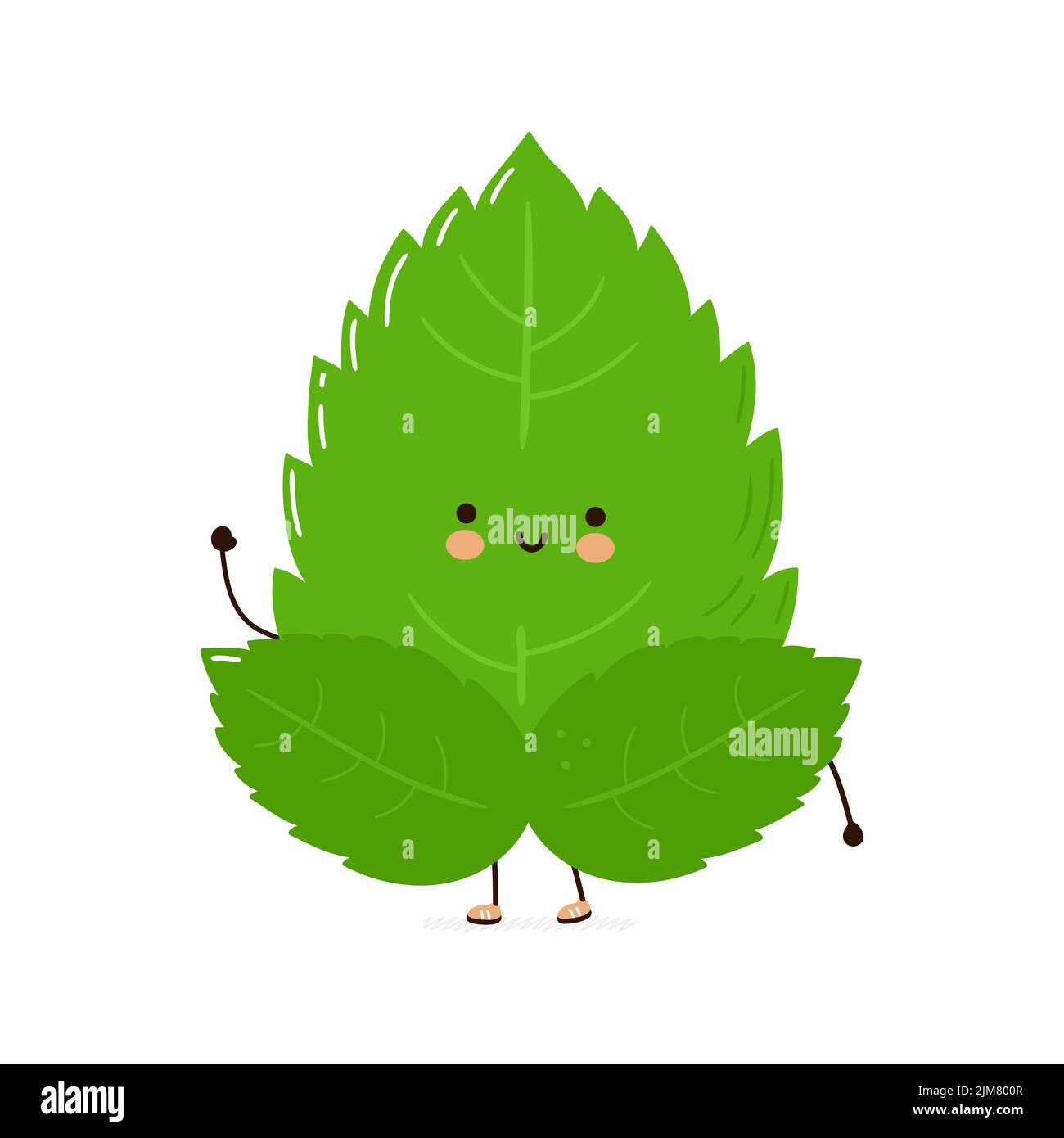 Cute funny mint leaf character. Vector hand drawn cartoon kawaii
