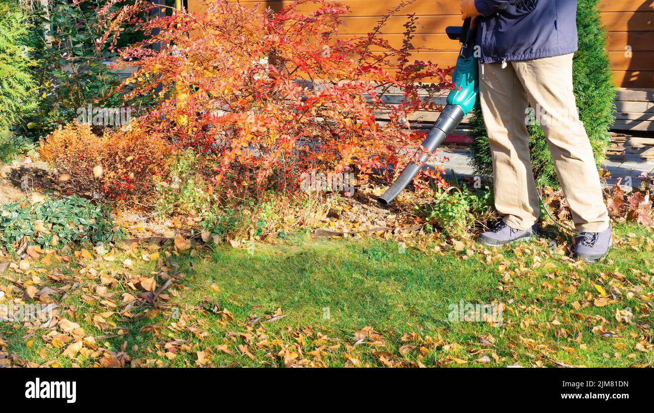 Leaves blower using process. The gardener cleans the house territory. Work in the garden with an