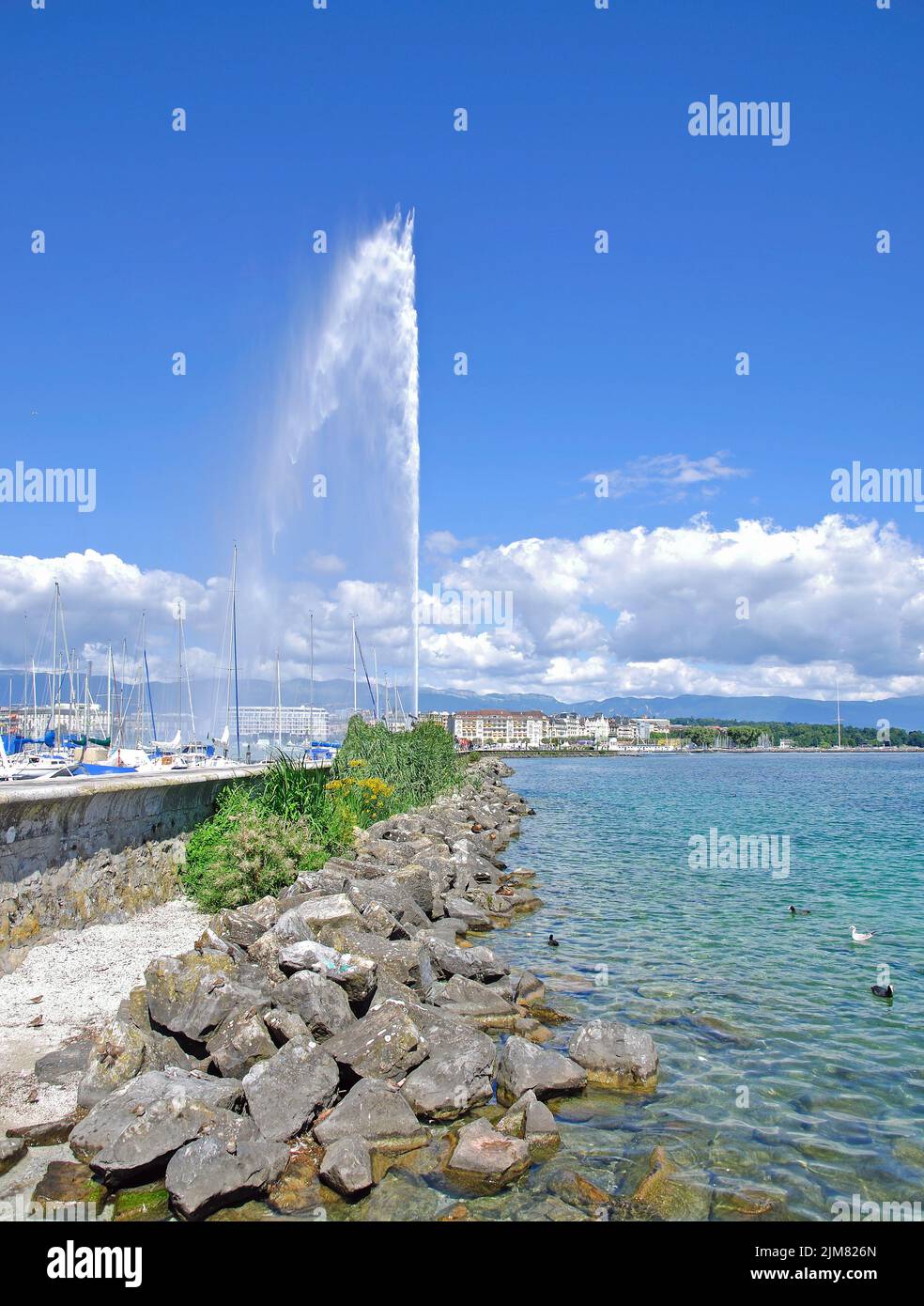 Geneva with the water column Stock Photo