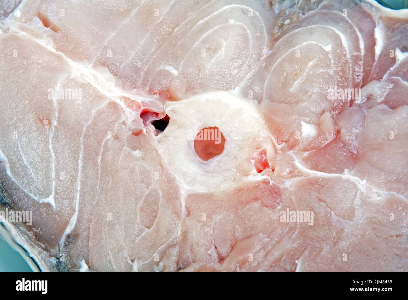 Catfish steak hi-res stock photography and images - Alamy