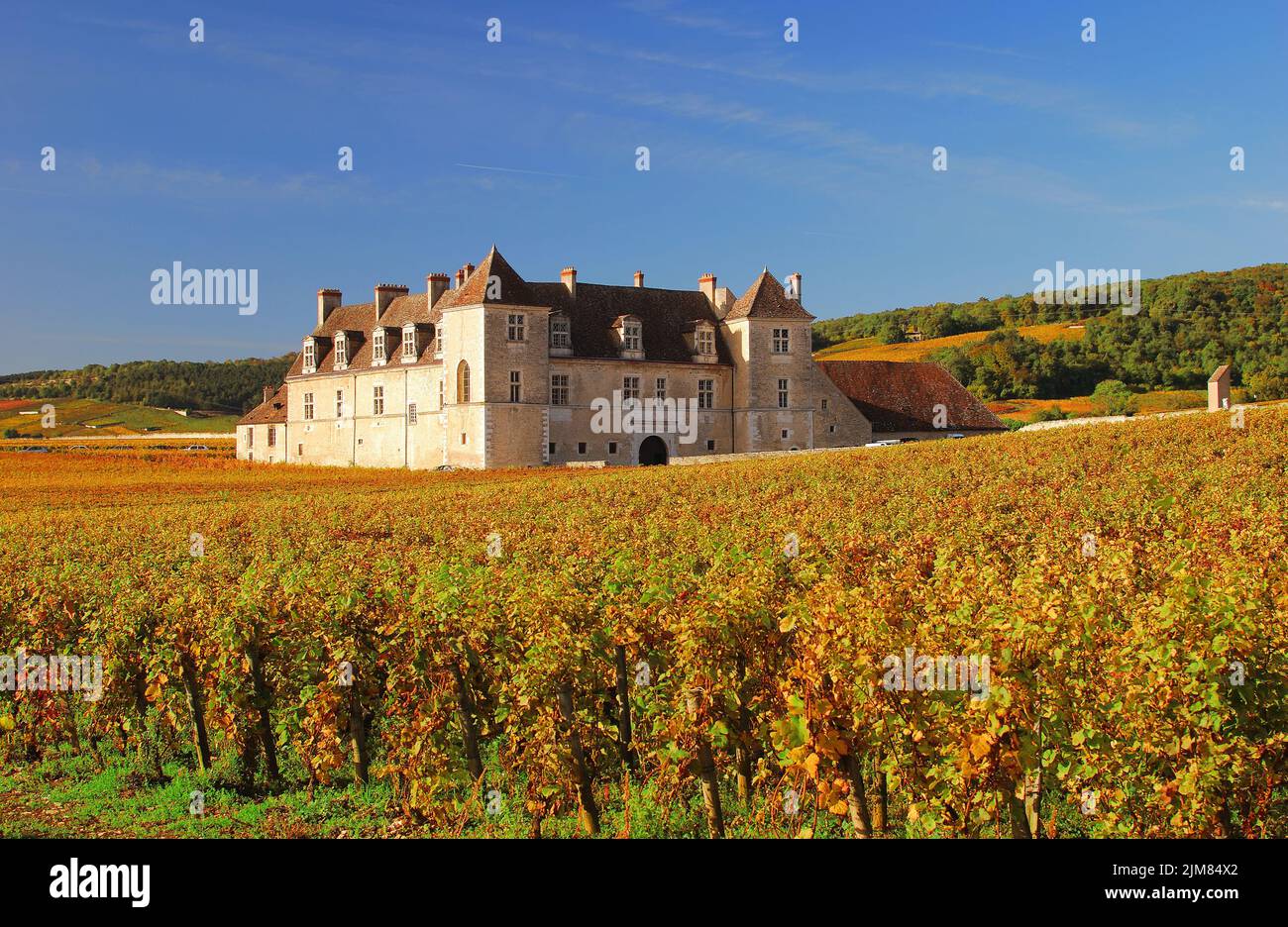 Winery Clos de Vougeot in Burgundy Stock Photo