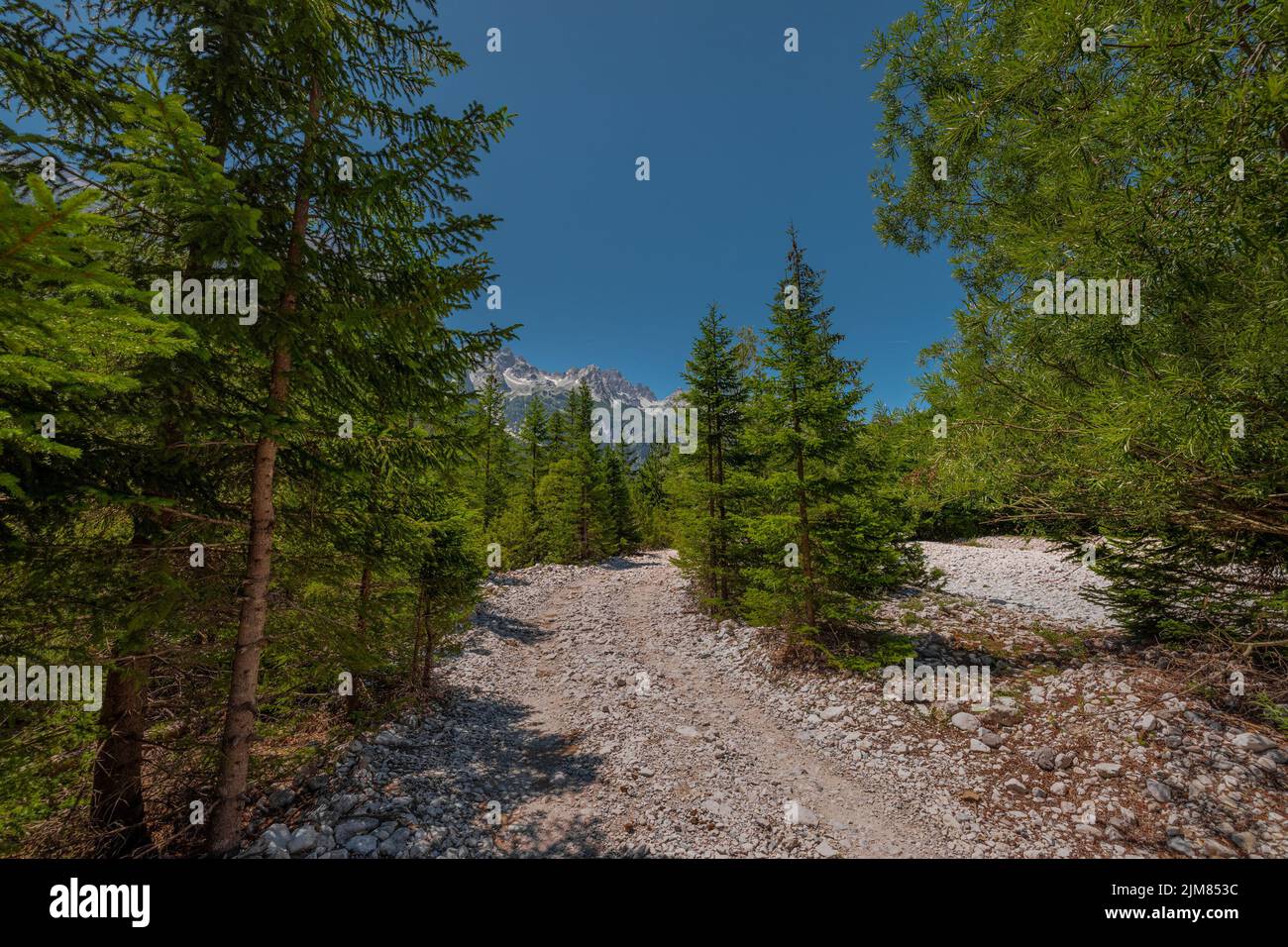 Hiking path leading from Valbona valley to Theth, a popular hiking spot in Albania leading through nice forests on a summer day. Stock Photo