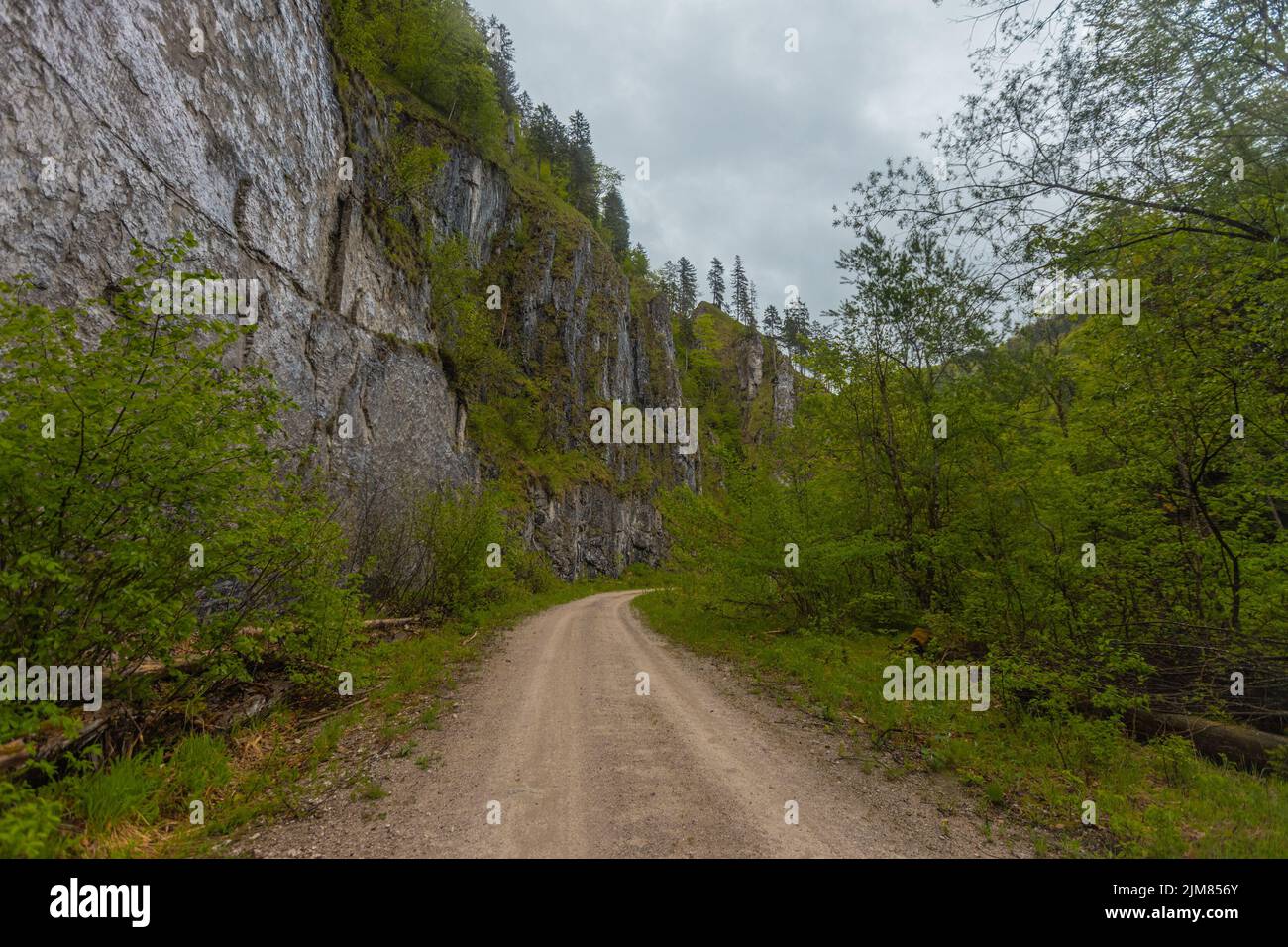 Road on the ex Reichraming narrow gauge railway, small gauge forest railway in central austria. Visible cliff and road in a curve. Stock Photo
