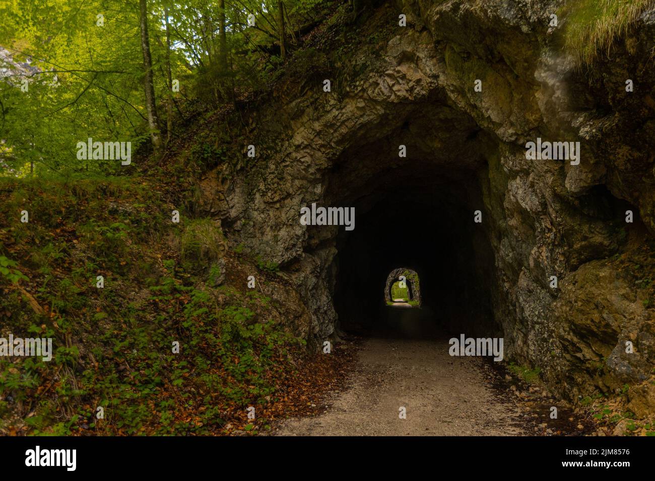 Tunnels in the ex Reichraming narrow gauge railway, small gauge forest railway in central austria. Visible two tunnel portals. Stock Photo