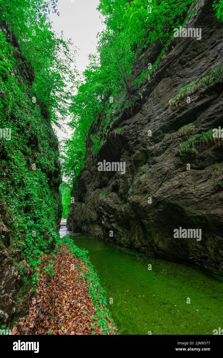 Narrow gorge in the reihraming nature reserve. Stone walls making a narrow passage for water called grosser bach. Stock Photo