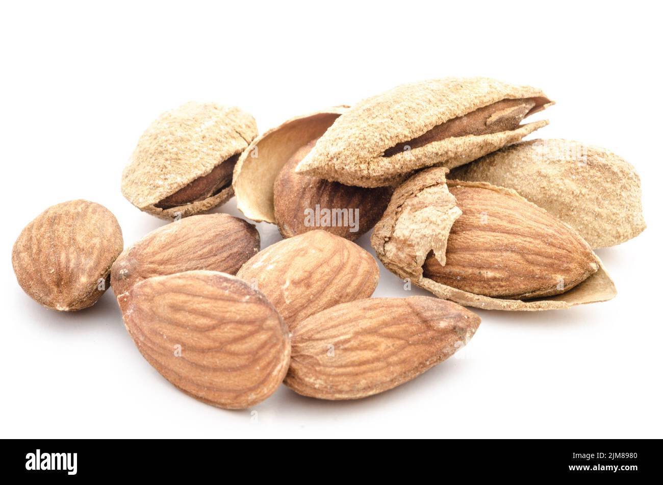 Almond Nut Shell