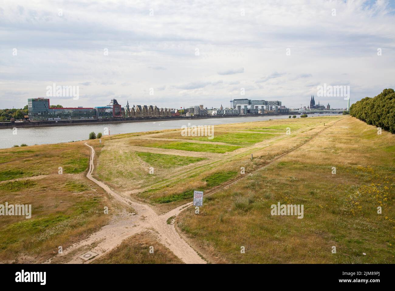 low water of the river Rhine, July 25, 2022, meadows on the river Rhine in the district Poll, view to the Rheinau harbor and the cathedral, Cologne, G Stock Photo