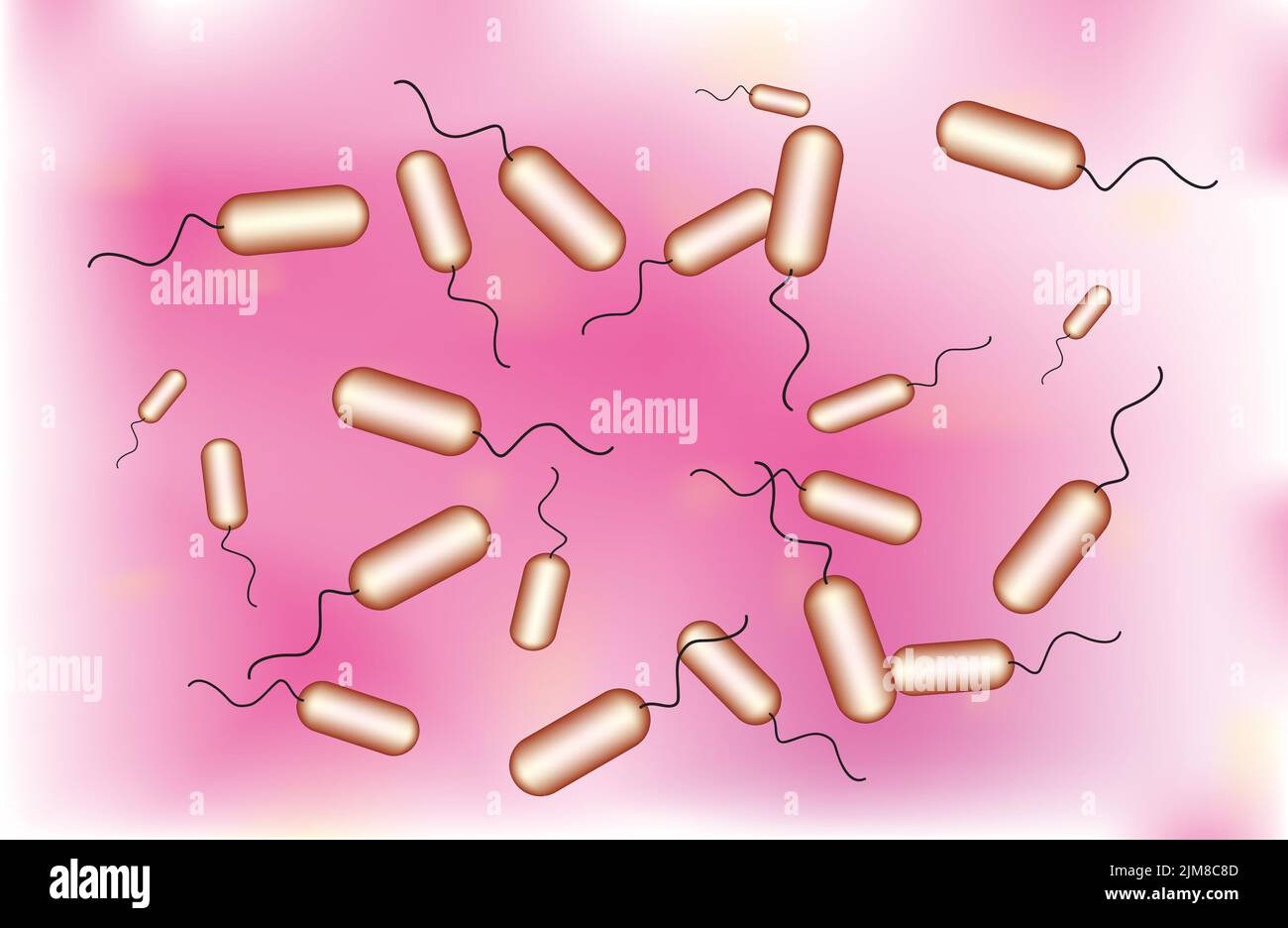 Bacillus bacteria Stock Vector