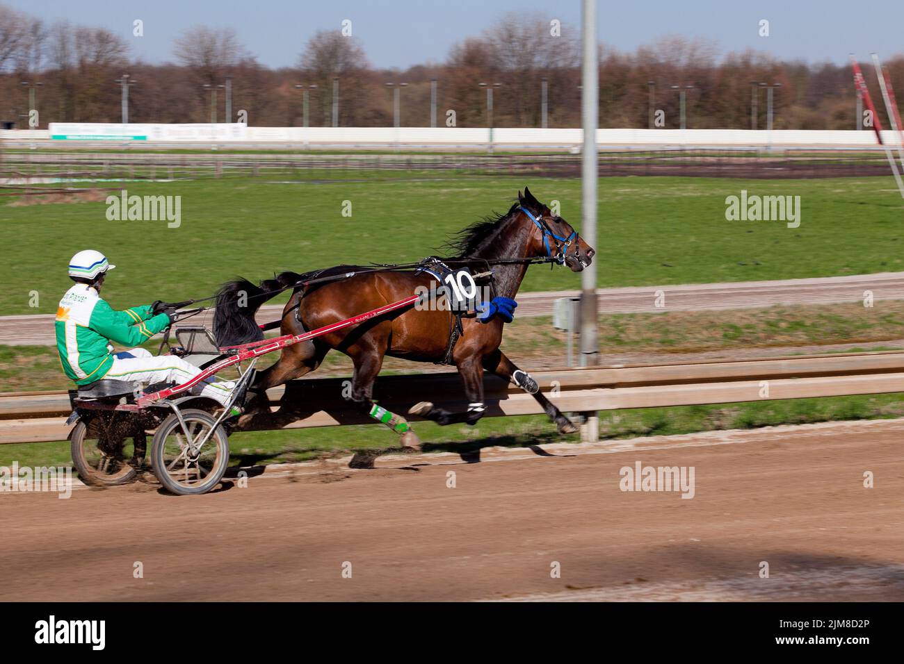 Harness Racing horse Stock Photo Alamy