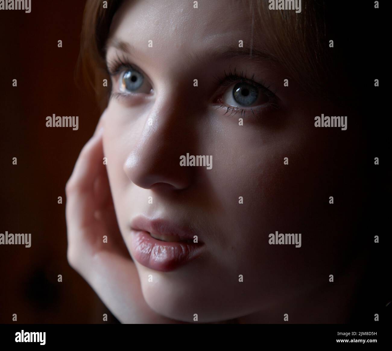 Portrait of the girl in a dark tonality Stock Photo