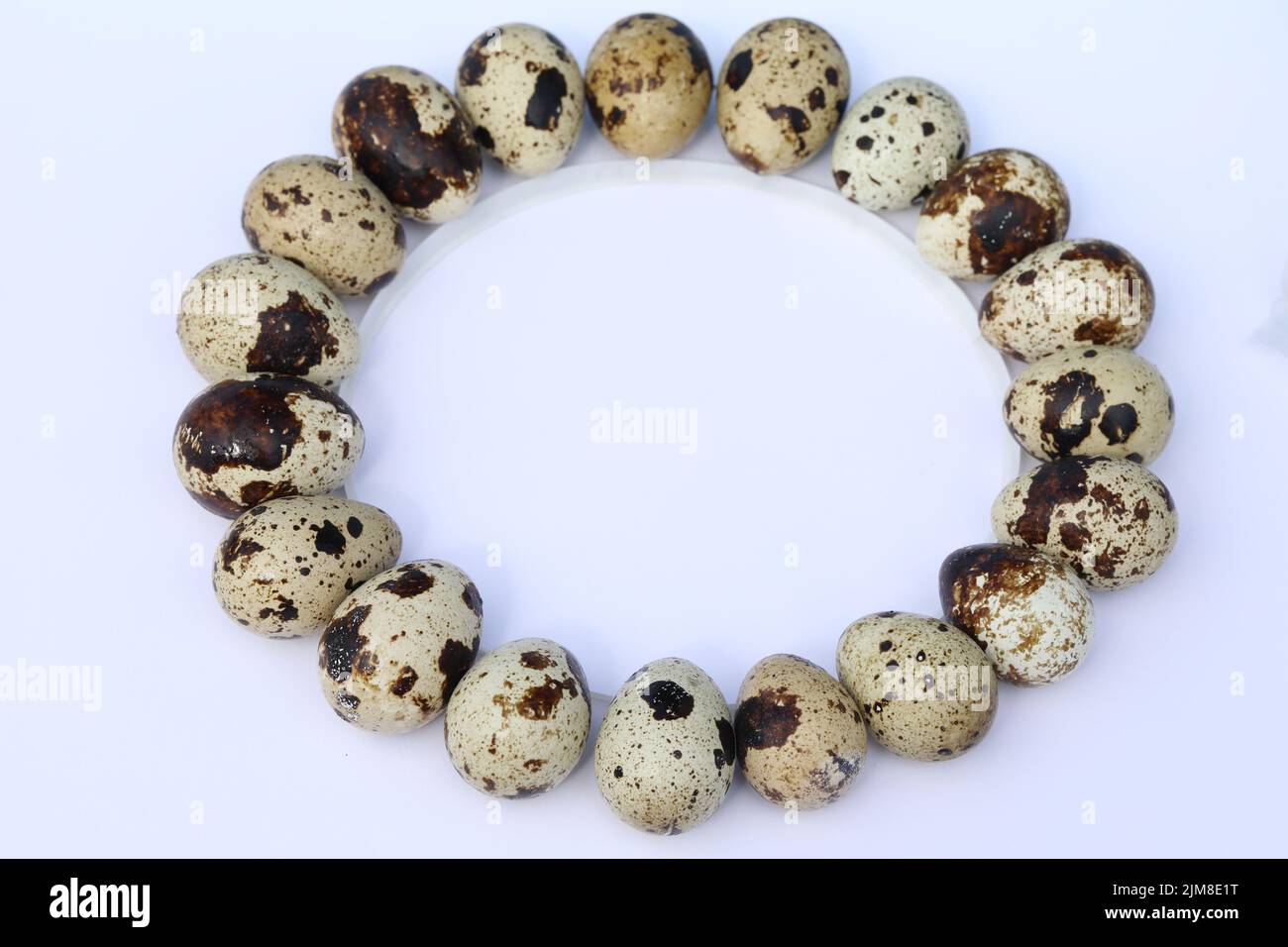 quail eggs on the white background with copy space Stock Photo