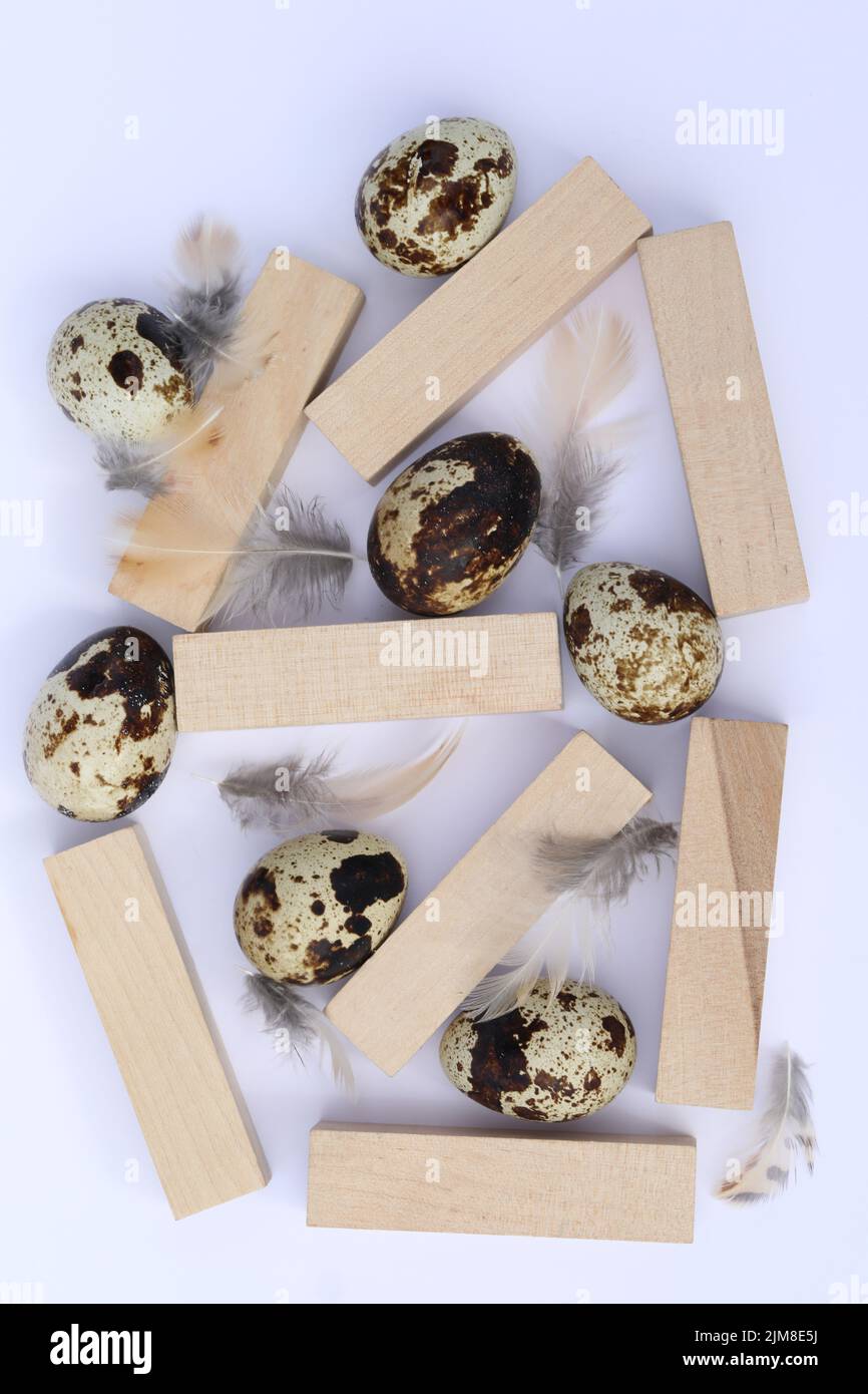 quail eggs on the white background with copy space Stock Photo