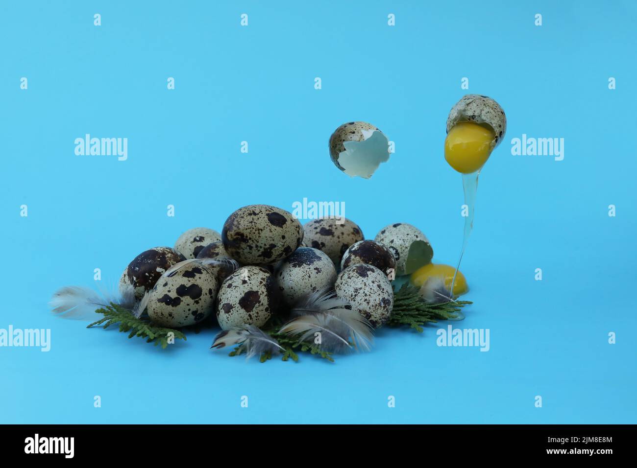 quail eggs on the blue background with copy space Stock Photo