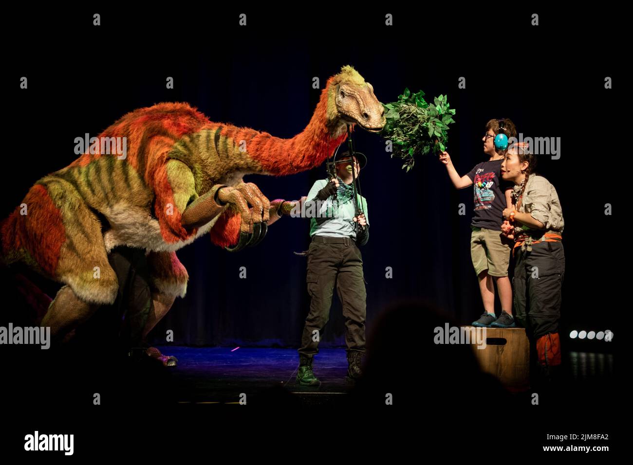 Dinosaur Rhea Rhea locker marsh hi-res stock photography and images - Alamy