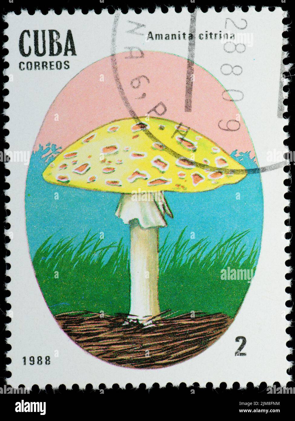 CUBA - CIRCA 1988: stamp mushroom Stock Photo