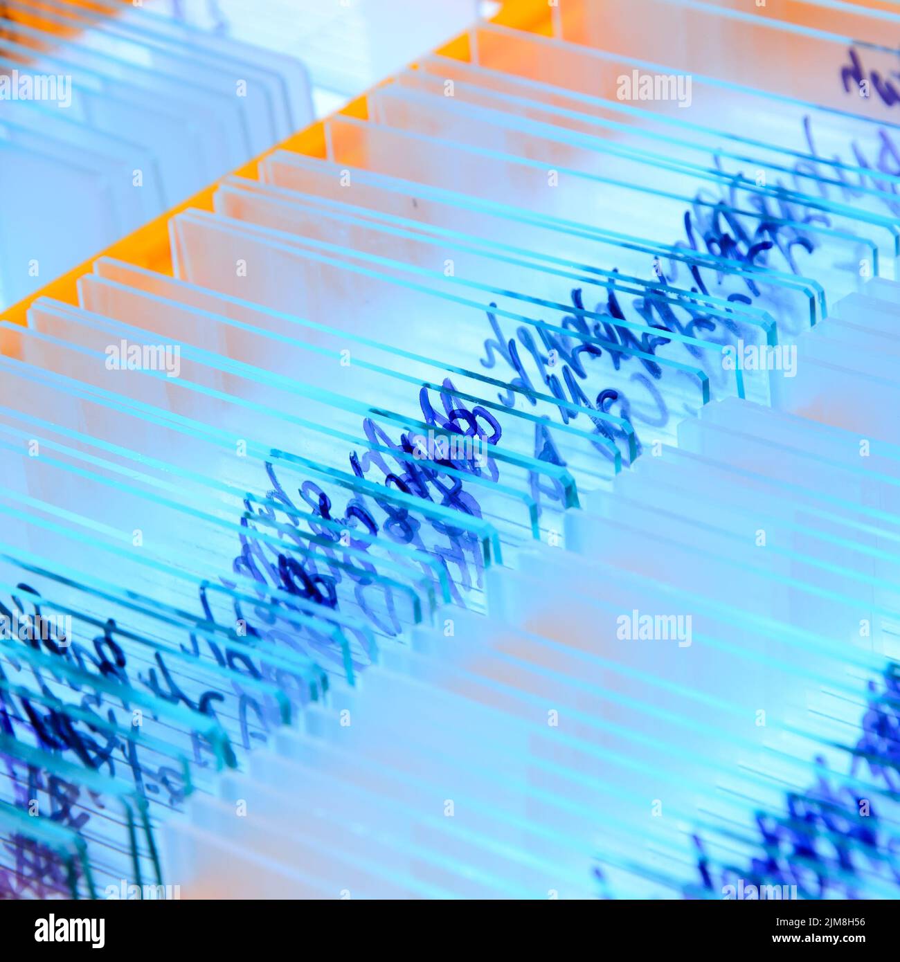 Glass microscope slide Stock Photo Alamy