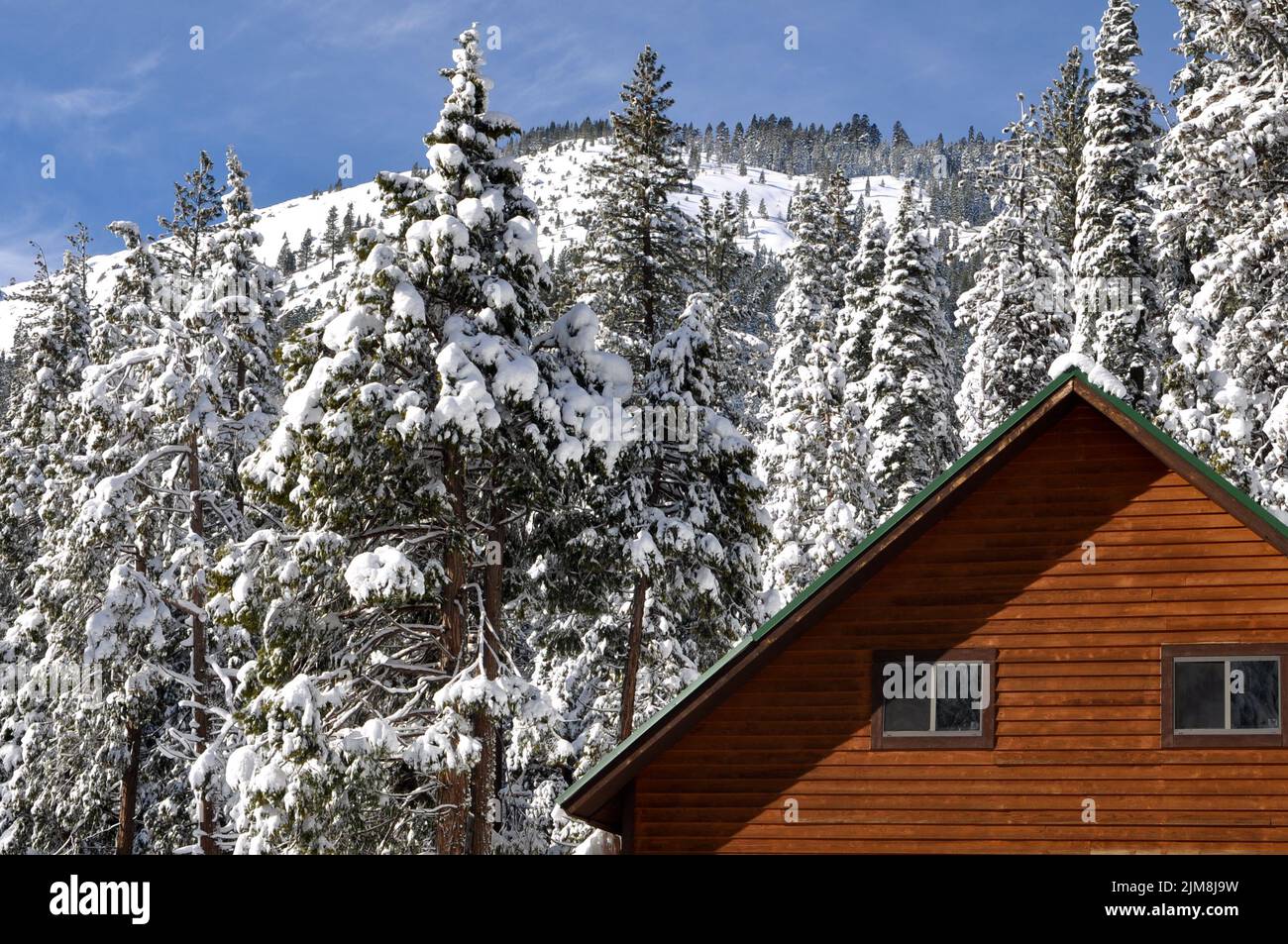 Winter Cabin with Snow Covered Trees and Mountain in Background Stock ...