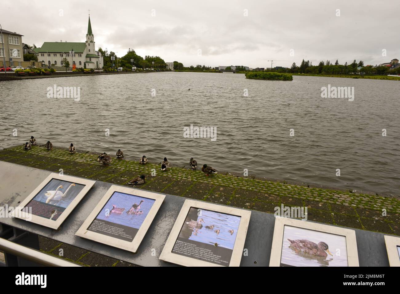 The pond in the center of Reykjavik on Iceland Stock Photo