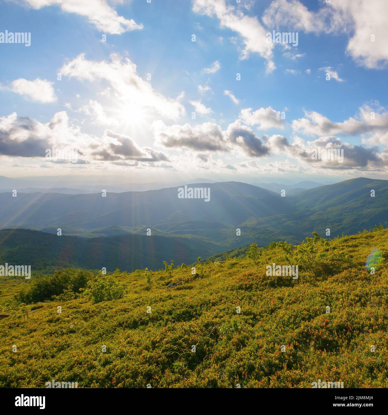 alpine meadows of runa mountain. stunning countryside landscape of trascarpathia in evening light. hill rolling down in to the distance. valley beneat Stock Photo