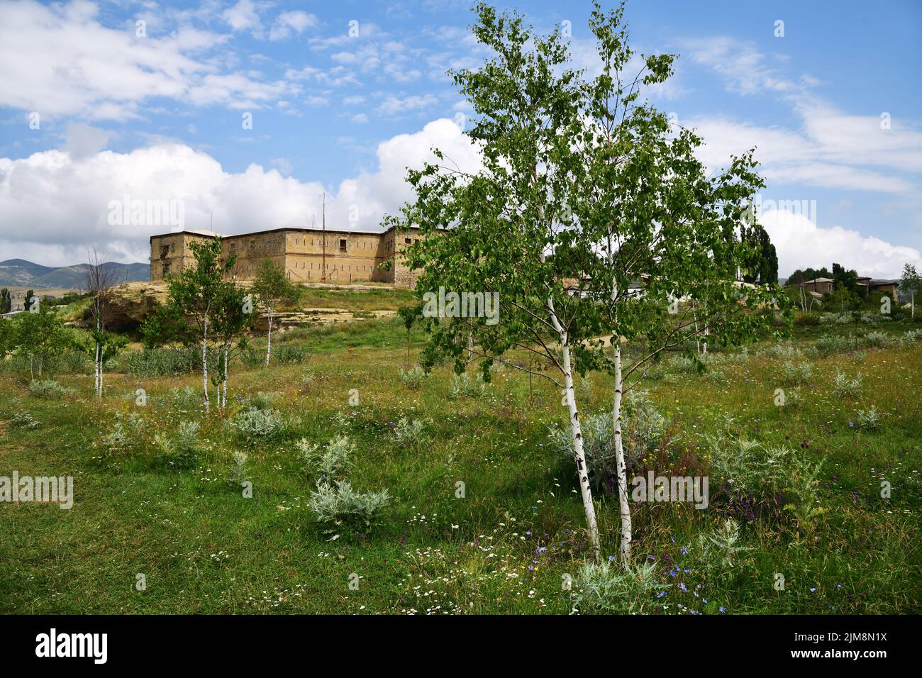 Khunzakh village, birch trees and old russian fortress on background , Republic of Dagestan, Russia. Focus on the foreground tree Stock Photo