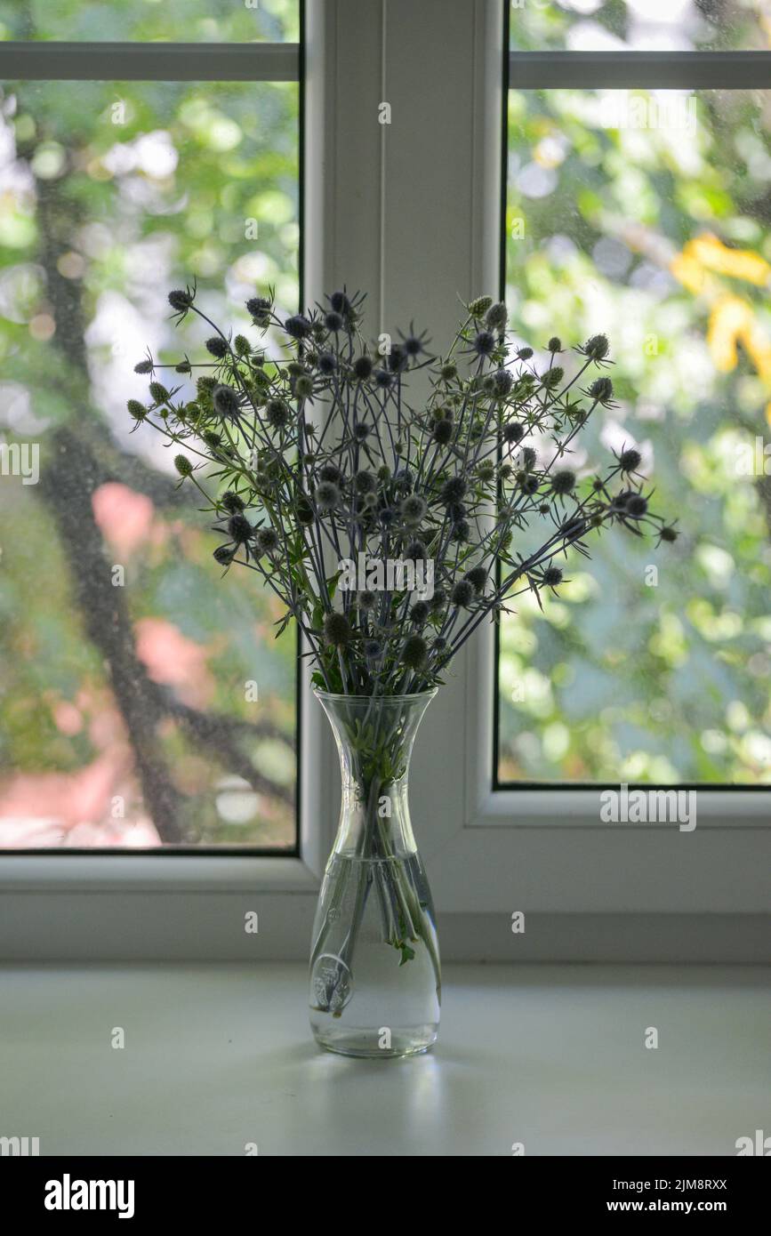 Blue flowers with spikes stand in a vase on a white window sill. Outside the window, the bright summer sun shines on the branches of green leafy trees Stock Photo