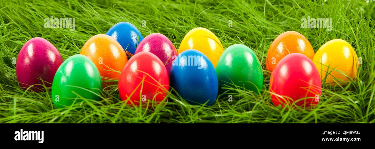 Easter eggs in Fresh Green Grass Stock Photo - Alamy