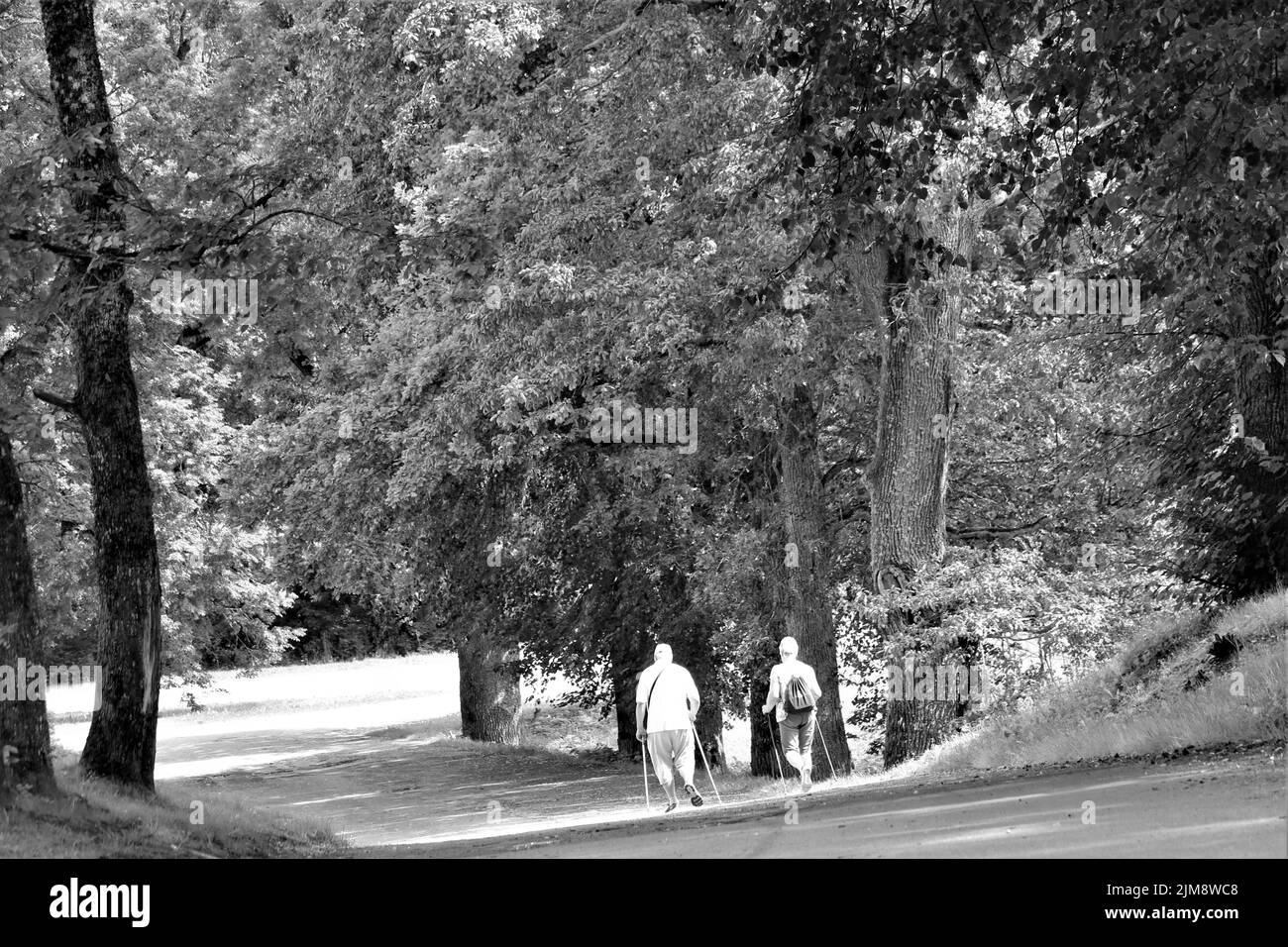 Pour une promenade Black and White Stock Photos & Images - Alamy