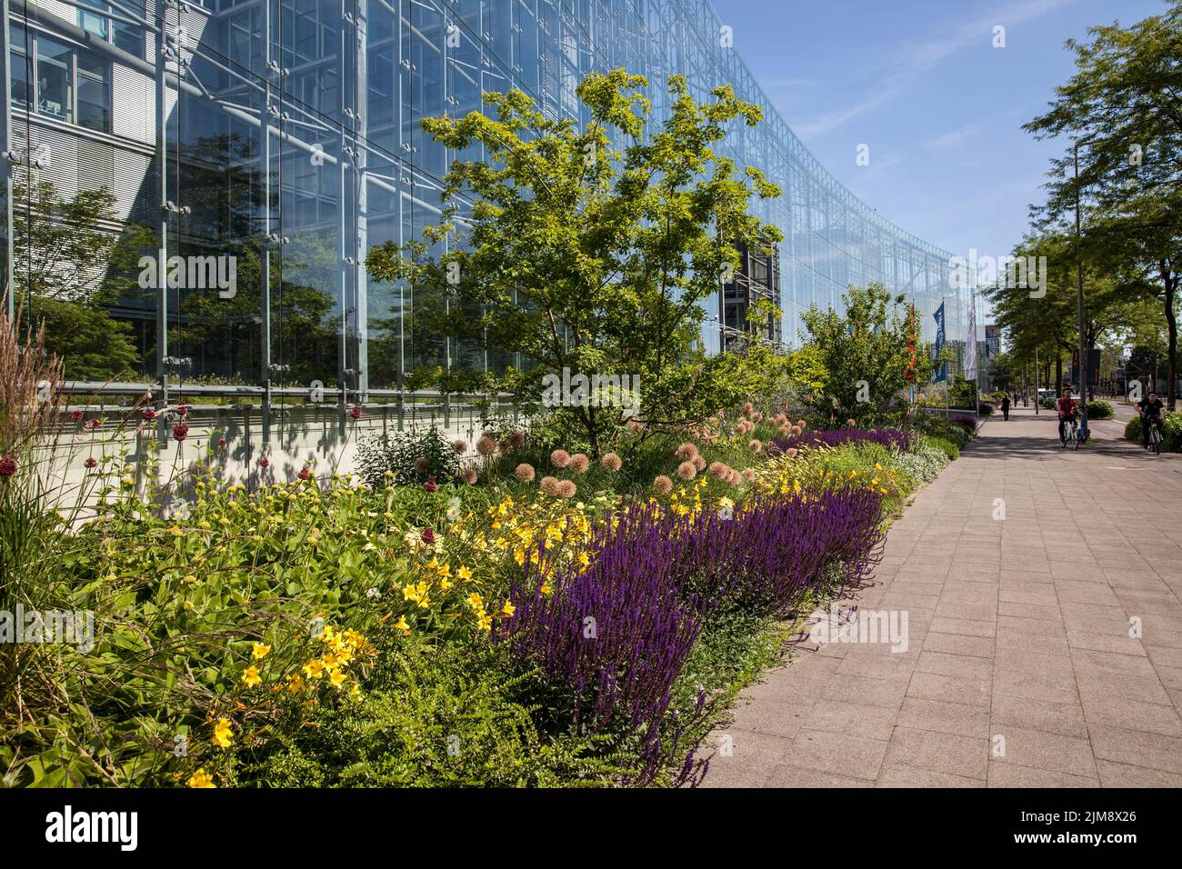 the Neven DuMont building of the DuMont Media Group on Amsterdamer street, Cologne, Germany. To support biodiversity, the company has planted a wide s Stock Photo
