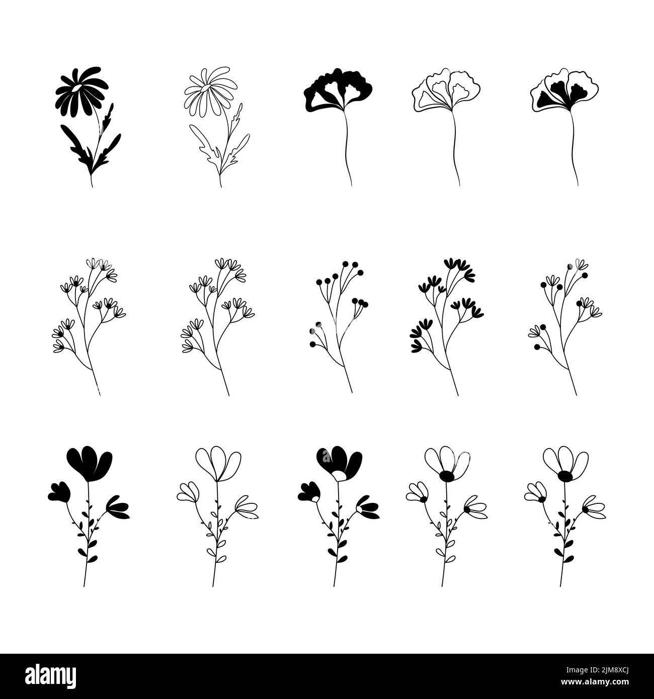 Floral elements and flowers, twigs and leaves set. Vector silhouettes of flowers Stock Vector