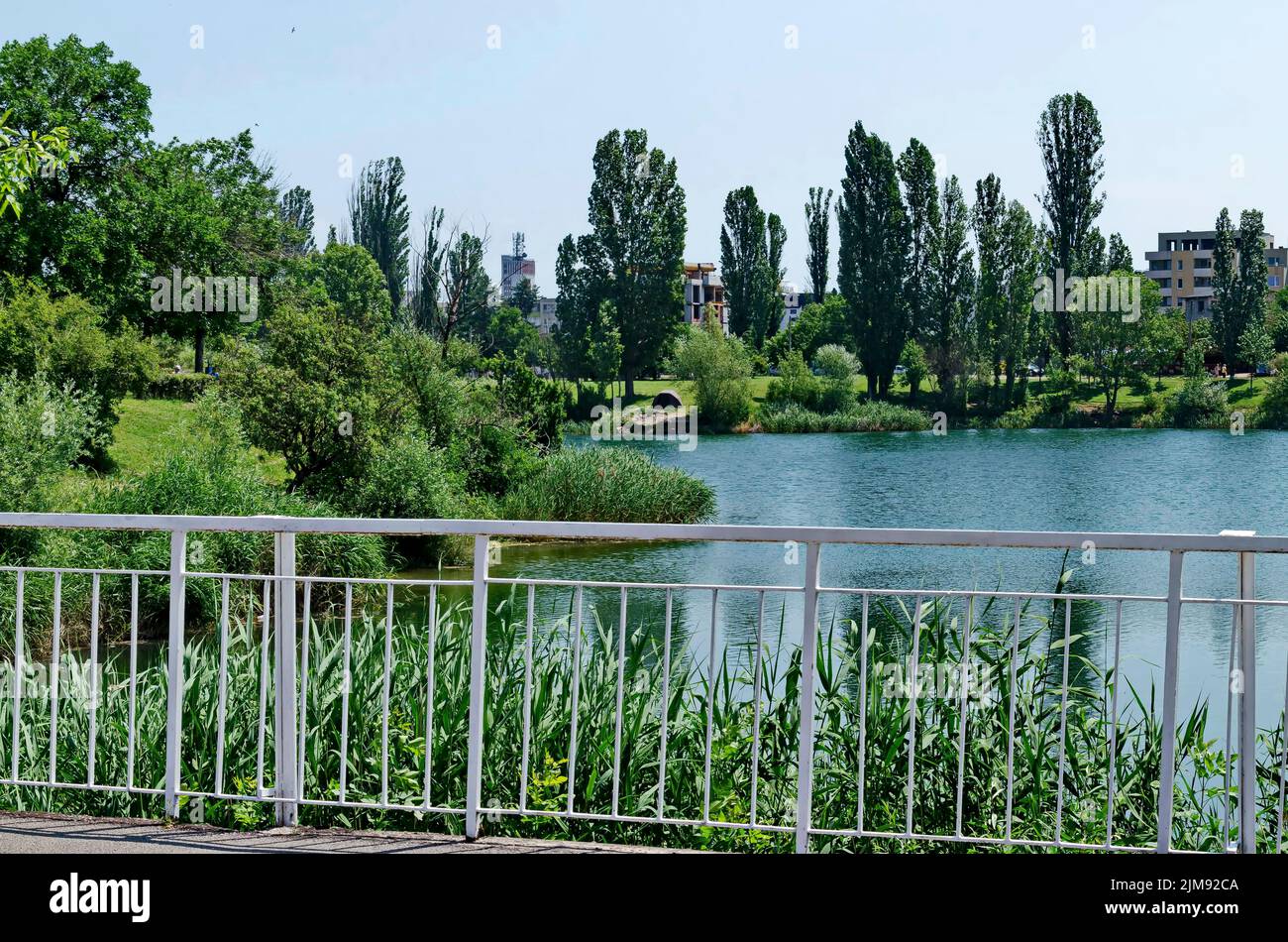 Springtime green on a fresh trees and lake in residential district Drujba, Sofia, Bulgaria Stock Photo