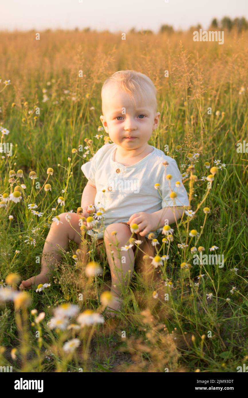 A little blond boy is sitting in the grass in a chamomile field. The concept of walking in nature, freedom and an environmentally friendly lifestyle. Stock Photo