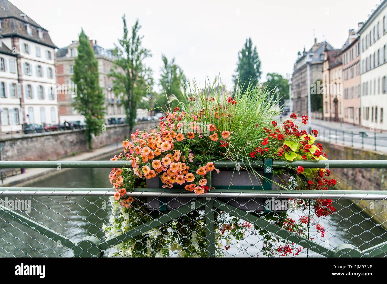 Flower on a Bridge Stock Photo Alamy
