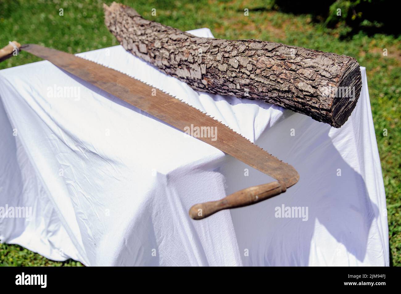Hand saw and tree trunk Stock Photo Alamy