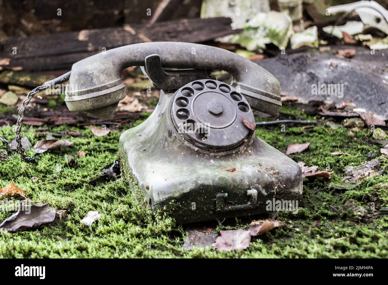 Nature telephone Stock Photo