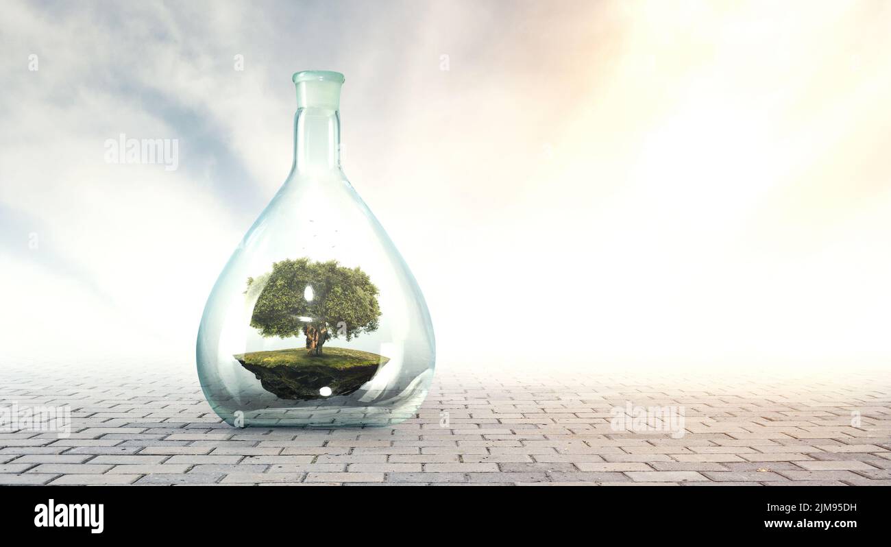 Tree growing inside clear glass bottle Stock Photo - Alamy