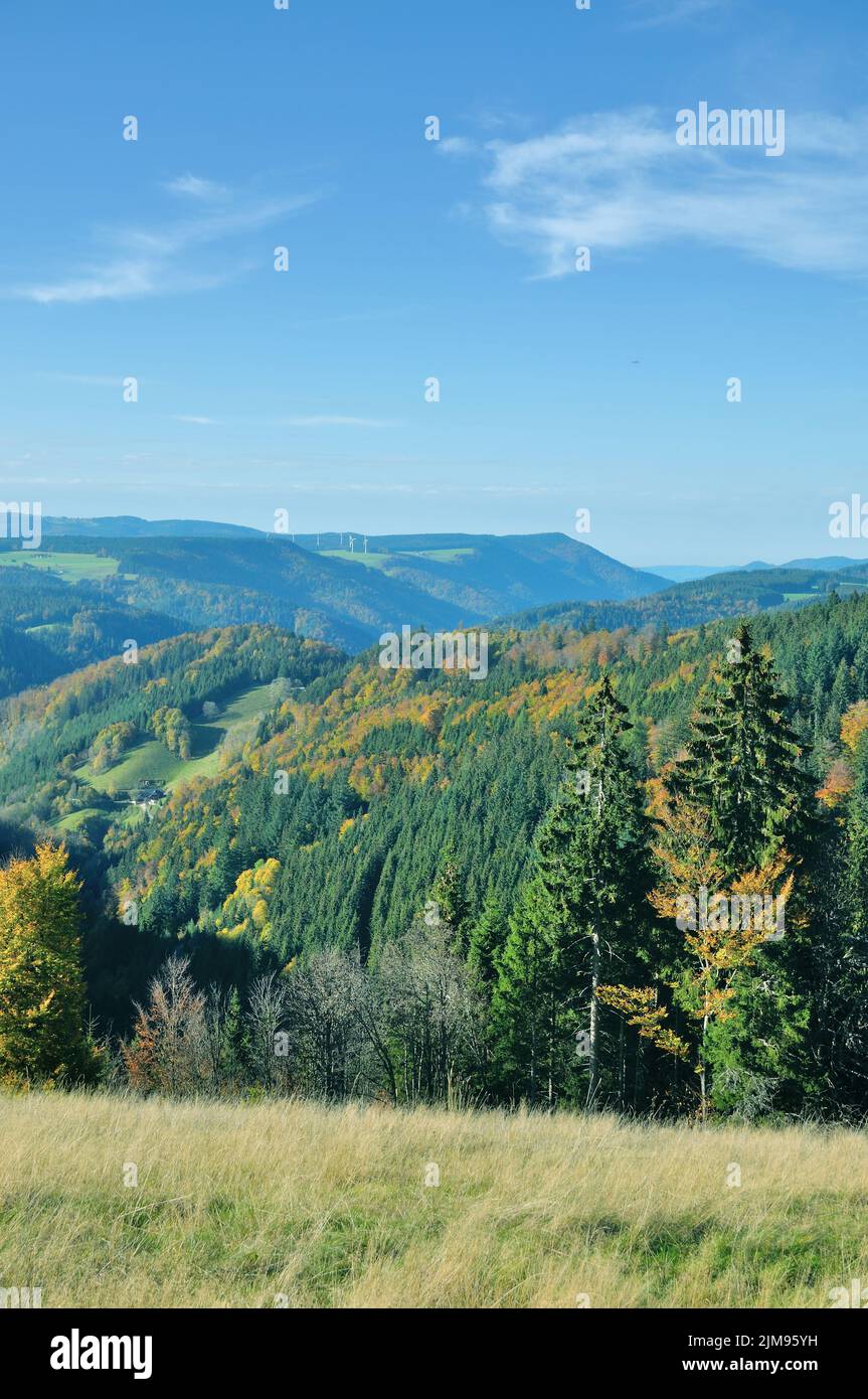 Black Forest Tourist Route,Germany Stock Photo