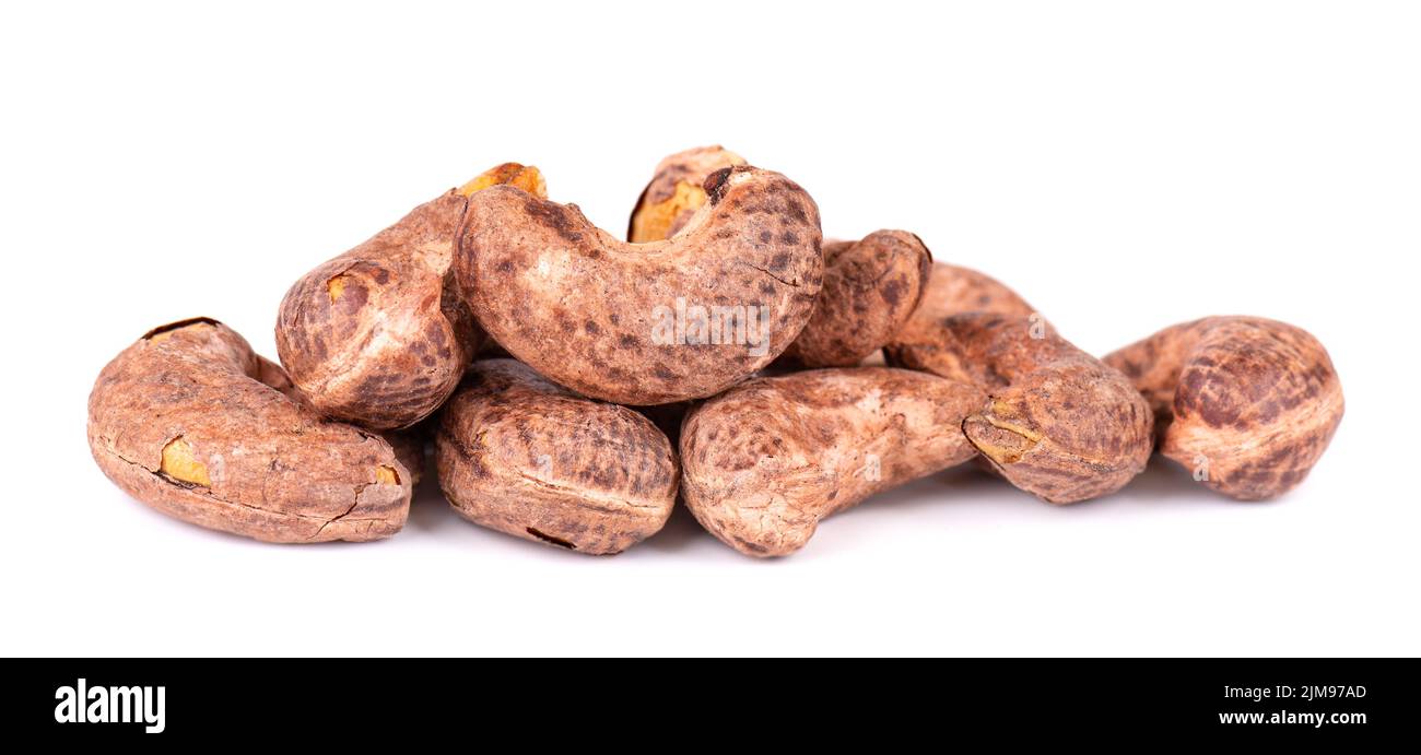 Cashew nuts in shell isolated on white background. Roasted and salted