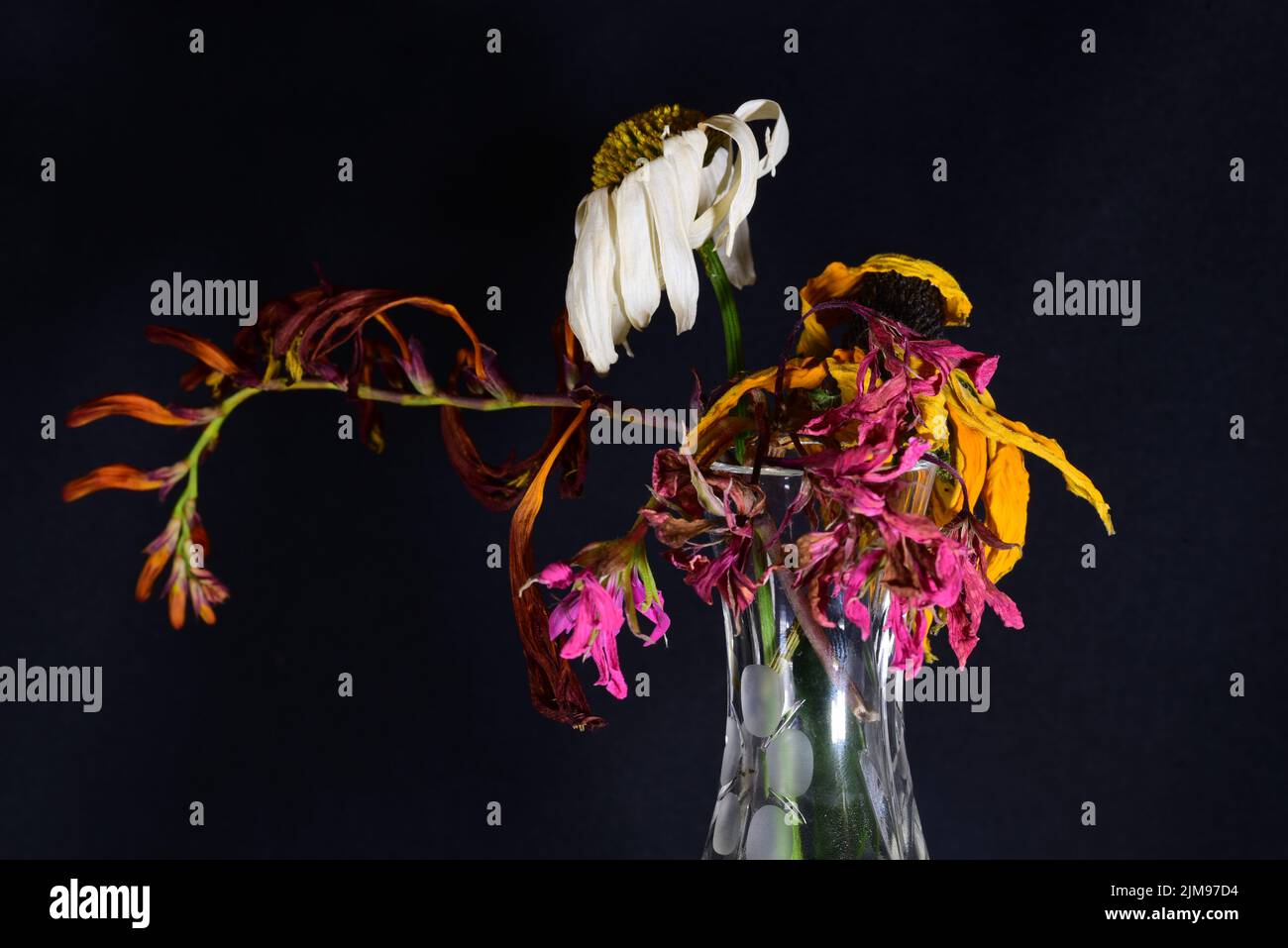 Dead flowers in vase Stock Photo