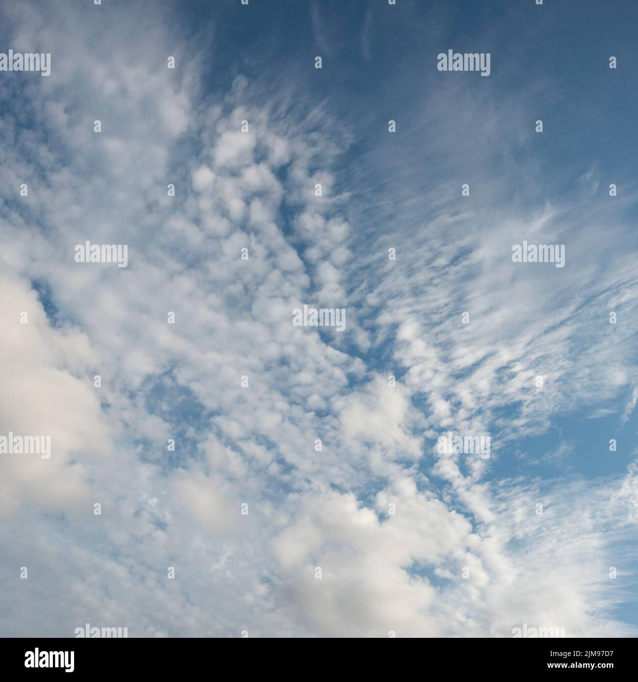 a mix of wind swept cloud types in sqaure format Stock Photo Alamy