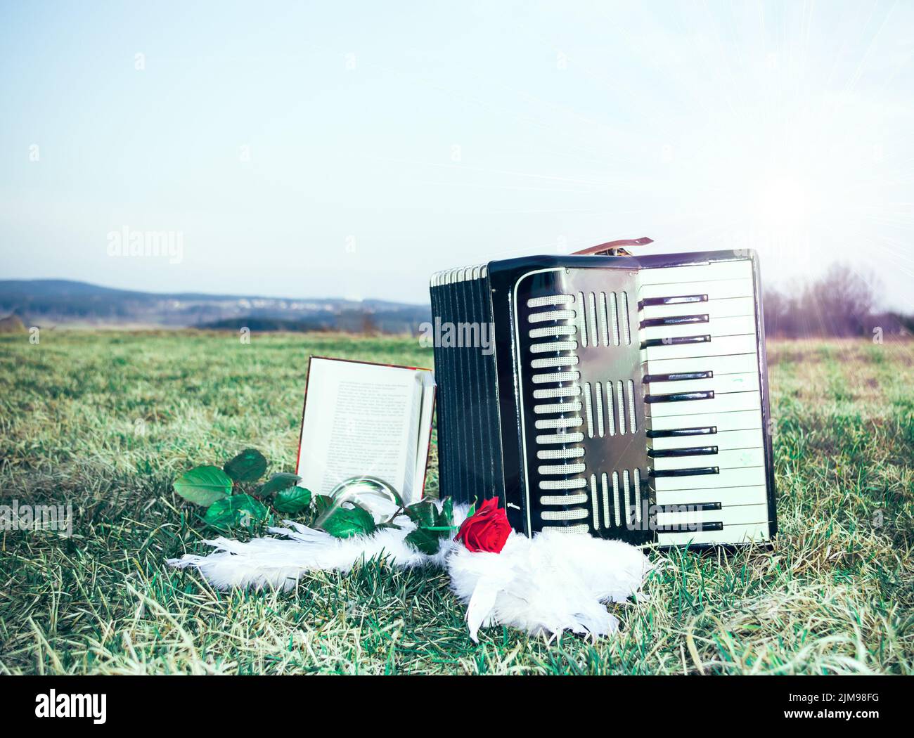 Accordion on a meadow Stock Photo