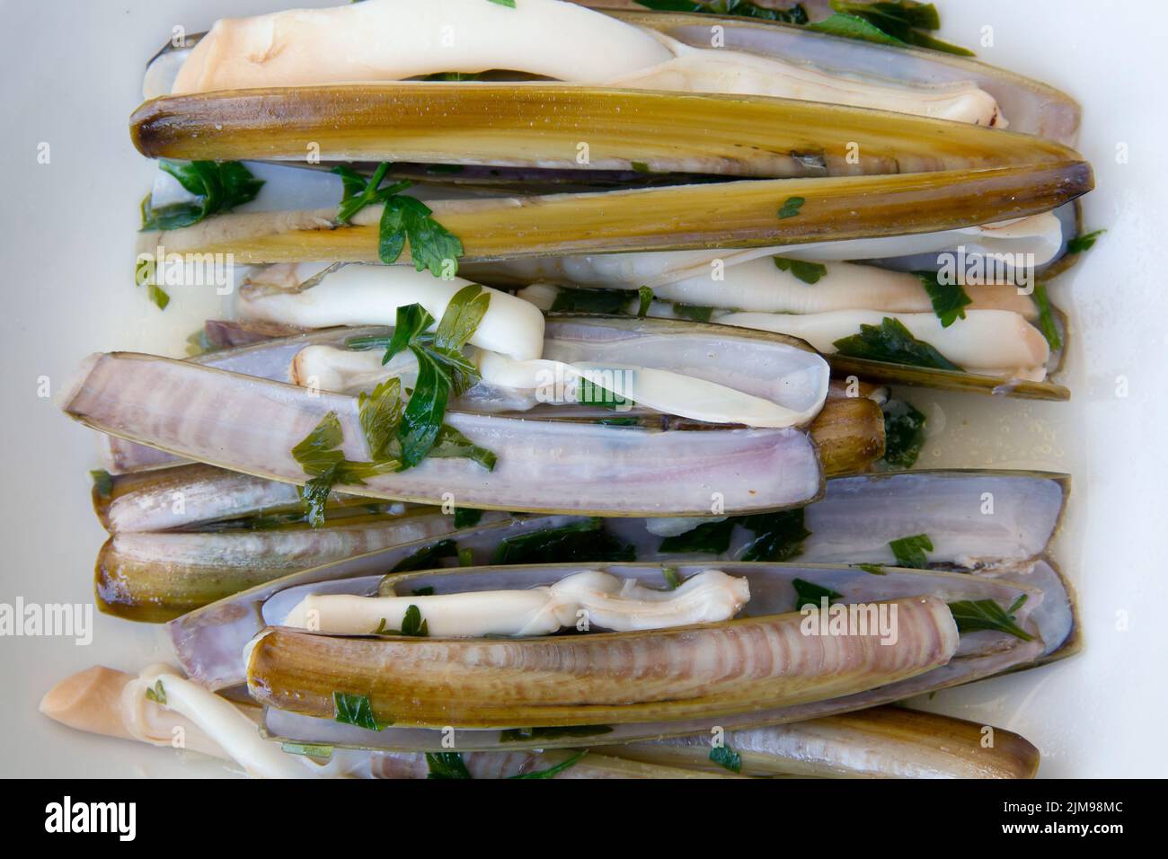 Solen siliqua hi-res stock photography and images - Alamy
