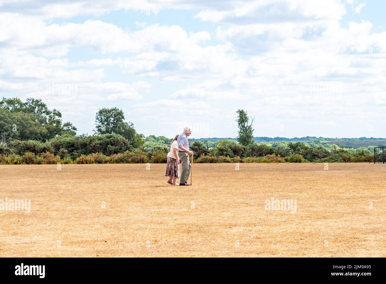 Godshill, New Forest, Hampshire, UK, 5th August 2022, Weather: Dry and sunny with little prospect of an end to the summer drought. There has been no appreciable rainfall for weeks although the region has escaped a hosepipe ban for now. An elderly couple take a walk across parched grass. Paul Biggins/Alamy Live News Stock Photo